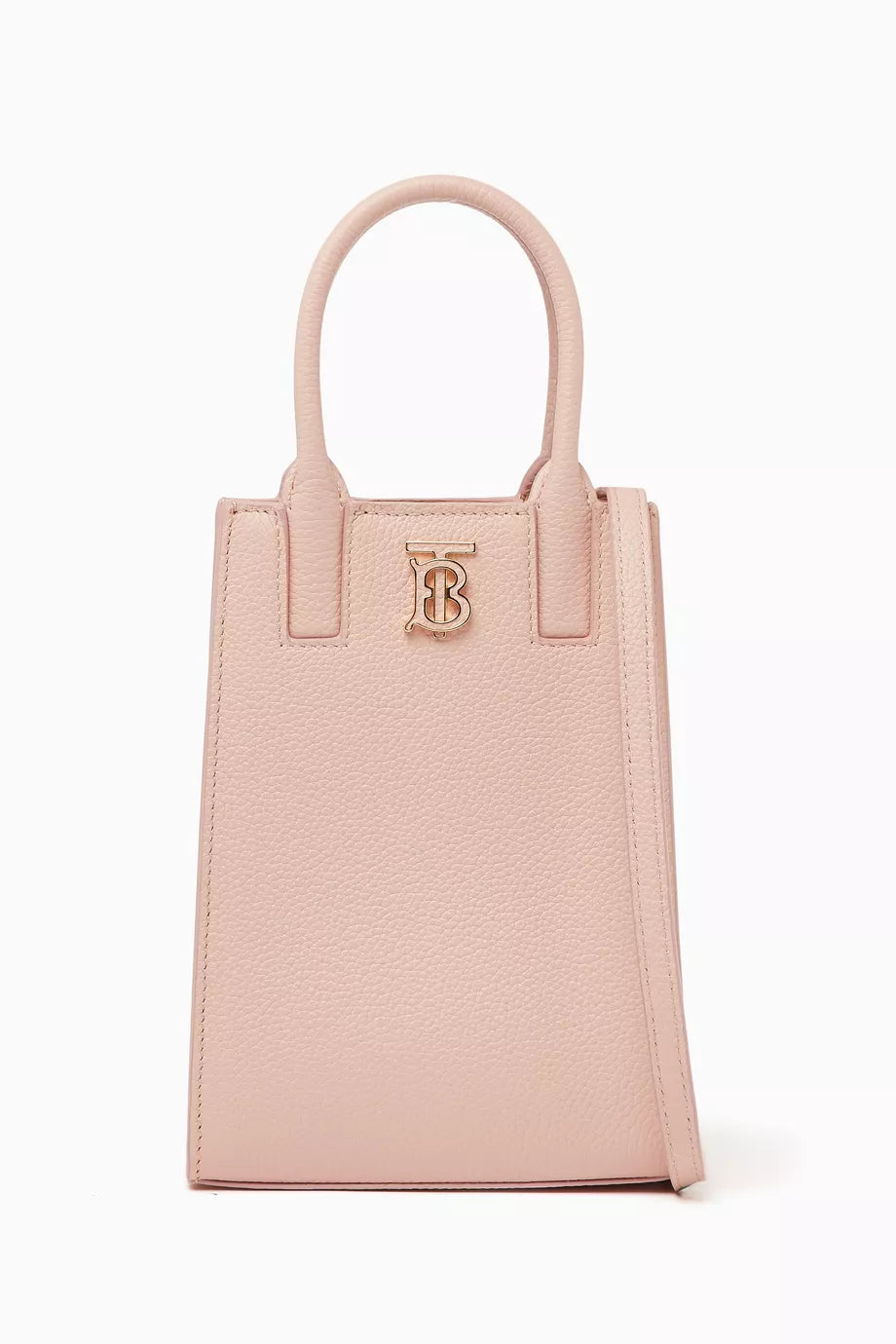 Micro Frances Tote Bag in Grained-leather