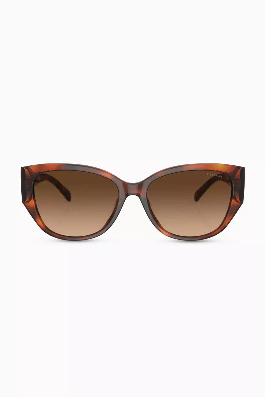 D-frame Sunglasses in Acetate