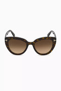 Izzi Sunglasses in Acetate