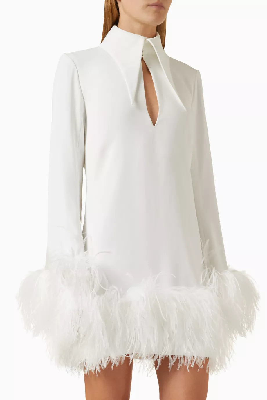 Michelle Feather-trim Mini Dress in Chiffon