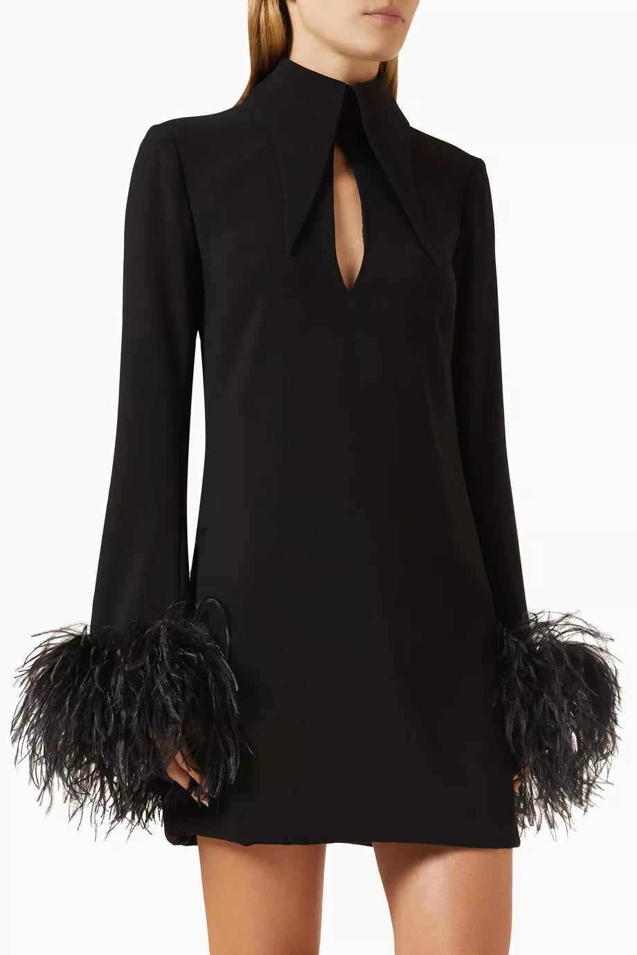 Michelle Feather-trim Mini Dress in Chiffon